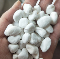 Petites Pierres Blanches Flocon de Neige pour Succulentes en Pot, Projet d'Aménagement Paysager de Bassin à Poissons en PE Fabriqué à la Machine, Décoration de Pavage Extérieur
