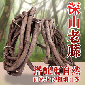 เถาวัลย์ตกแต่งซินเล่ย์ 5 เมตร หนาแน่น สไตล์ธรรมชาติ สำหรับตกแต่งสวน - Product Image 5