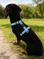 Harnais pour chien en nylon imprimé de type H, réglable, avec double anneau en D, anti-traction, gilet pour chien, logo personnalisé OEM