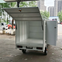 Mini camionnette électrique entièrement fermée, fourgonnette de transport à haute capacité de charge pour la livraison logistique