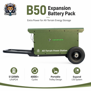 Batería de Litio Hierro LiFePO4 de Alto Rendimiento, 5kWh, Estación de Energía Móvil, Generador Solar, Estación de Energía Portátil <span class=keywords><strong>3000</strong></span> - Product Image 5