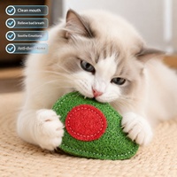 Éponge de loofah comestible naturelle, jouet à mâcher résistant, jouet interactif pour le nettoyage des dents pour chats et chiens, vente en gros