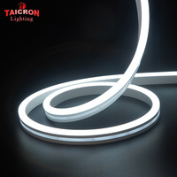 Usine OEM & ODM, ruban lumineux LED décoratif en PVC flexible, néon, IP65, étanche, pour l'aménagement paysager, intérieur et extérieur