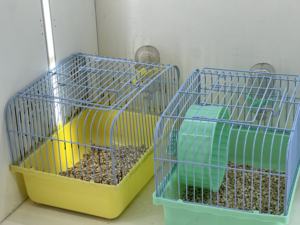 Gabbia per animali domestici pieghevole in metallo con motivo solido moderno per conigli domestici porcellini d'India cincillà piccoli uccelli - Product Image 3