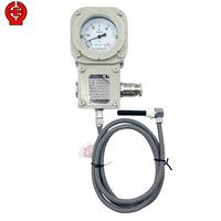 Explosion Proof Temperature Gauge Capillary IECEx Certified Temperature Instrument 4-20mA Output IP66 Ex d IIC T6 Gb