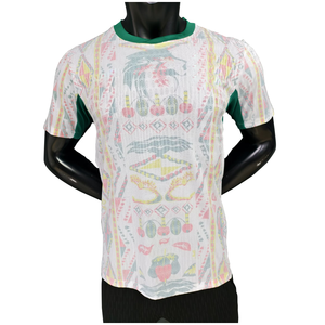 2526 Senegal Futbol Antrenman Forması İç Saha ve Deplasman Sadio Nicolas Kalidou Milli Takım Futbol Forması Maillot De Football - Product Image 4