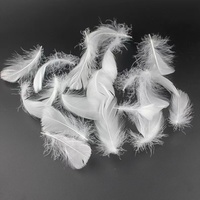 Inserts de coussin en plumes d'oie blanche Premium Stuffer Down Alternative sans couverture en coton/