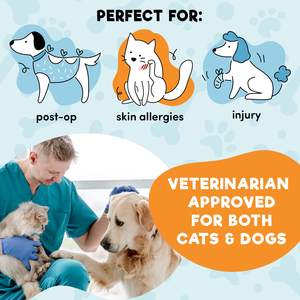 Ameliyattan sonra ayarlanabilir kadife Pet yumuşak kurtarma köpek koni yaka koruyucu şişme köpek koni için küçük orta büyük köpek kedi - Product Image 5
