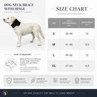Collier cervical réglable PETSGUARD pour chien avec charnière métallique, soulagement de la douleur, qualité vétérinaire, durable et écologique