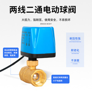 Vanne à boisseau sphérique électrique bidirectionnelle DN25 1,2 Nm IP52 220 V CA pour le contrôle de l'eau - Product Image 2
