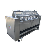 Qiangda One-Stop Automatische Fruitgroentenmoer Dunschiller Wasmachine Hete Verkoop Aardappel Cassave Tarwe Schilmachine Voor Sojabonen Maïs