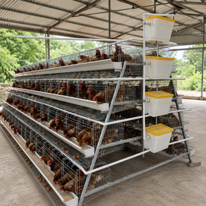 Cages pliables en métal pour volailles, cages de présentation pour coqs de combat, cages à poulets personnalisées et économiques - Product Image 1