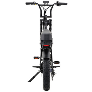 Bicicleta Eléctrica de Aluminio OEM/ODM con Motor sin Escobillas de 750W-1500W y 8 Velocidades, Frenos de Disco Dobles, Batería de Litio B-Long - Product Image 5