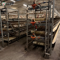 Système de cages à poulets de type H haute capacité, équipement d'élevage de poulets automatique pour les fermes commerciales