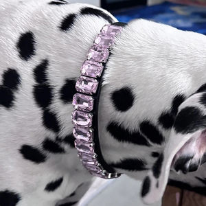 ปลอกคอแมวสุนัขดีไซน์หรู ประดับคริสตัลและเพชรเทียม สายหนังคุณภาพสูง สำหรับสัตว์เลี้ยงแฟชั่น เช่น ชิวาวา เฟรนช์บูลด็อก - Product Image 6