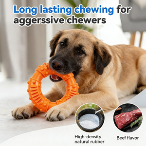 Donut Köpek Oyuncağı Aşınmaya Dayanıklı Isırmaya Dayanıklı Diş Kaşıma Halkası Orta Büyük Köpek Golden Retriever Can Sıkıntısını Giderici Evcil Hayvan Oyuncağı - Product Image 1