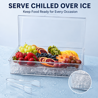 Hot Sale Transparent PS Plastic Chilled Fruit Platter With Flip Lid for Backyard Events BBQ Buffet Food Serving