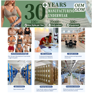 Bragas de encaje de color liso para mujer, ODM, de cintura alta, transpirables para uso diario - Product Image 5