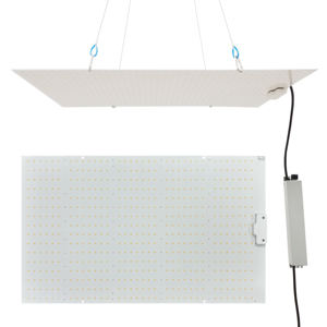 ไฟปลูกพืชแบบควอนตัมบอร์ด ฟูลสเปกตรัม 240 วัตต์ - Product Image 4