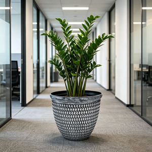 Pots de fleurs ronds en plastique simples et durables <span class=keywords><strong>pour</strong></span> <span class=keywords><strong>plantes</strong></span> <span class=keywords><strong>vertes</strong></span> en pot, anti-chute, <span class=keywords><strong>pour</strong></span> salon et <span class=keywords><strong>balcon</strong></span> - Product Image 3