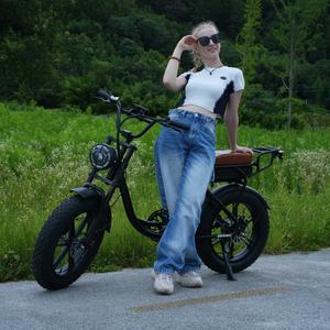 <span class=keywords><strong>Vélo</strong></span> <span class=keywords><strong>électrique</strong></span> tout-terrain Zerogo V3 20 pouces à pneus larges, 250W, <span class=keywords><strong>batterie</strong></span> 15Ah, <span class=keywords><strong>prix</strong></span> usine, entrepôt à l'étranger - Product Image 3