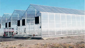 Panel de lámina de plástico para invernadero, sistema de cultivo hidrofonico de policarbonato - Product Image 3
