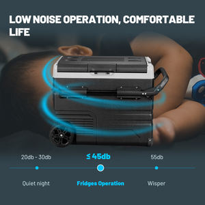 <span class=keywords><strong>Alpicool</strong></span> TSW 50L DC 12V Voiture Glacière 24v Compresseur Portable Camping Voiture Réfrigérateur Mini Réfrigérateur Pour Camion - Product Image 6