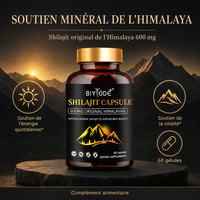 BIYODE Très Populaire Shilajit de l'Himalaya 600mg Gélules Complément Bien-être En Stock Faible MOQ Vente en Gros Direct Usine