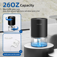 Mini déshumidificateur électrique portable pour la maison et la voiture, réservoir d'eau de 700 ml, technologie de condensation semi-conductrice, rechargeable, écran LED