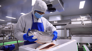 Ligne de traitement de la truite arc-en-ciel saumon conçu sur mesure Machine à laver automatique complète à fileter - Product Image 2