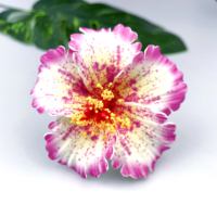 Hibiscus artificiel tropical grande fleur hawaïenne en mousse Eva pour la fête de l'île