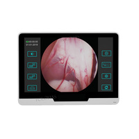 LHWTK12 Multi-fonction 10 Pouces Écran Tactile Pet Gastroscopie Cystoscopie Vaginoscopie Portable Vet Endoscope Système