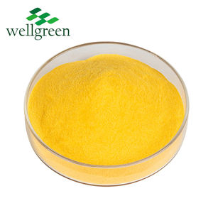 Wellgreen CAS 303-98-0 убихинон 10%,20%,40% водорастворимый коэнзим Q10 порошок - Product Image 1