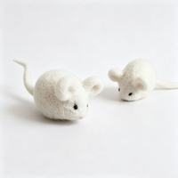 Jouet pour chat en feutre de laine naturelle, en forme de rongeur, fait main, en pure laine de Nouvelle-Zélande, rempli de catnip, jouet d'entretenissement pour chats domestiques