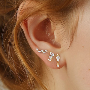 European American Cross Border G23 <b>Titanium</b> Alloy Ear <b>Stud</b> Plant Shape Prong Setting Amethyst Crystal Party Fashion Jewelry - Product Image 1