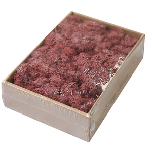 QSLHFH-1049 Haute Qualité Fraîche Conservée Mousse Végétal Stabilisé Pour La Décoration D'intérieur - Product Image 5