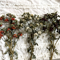 Herfstthema vintage bessen wijnrode frambozen nep fruit kunstmatige bessentak voor Kerstmis bruiloft huisdecoratie
