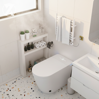 Bidet WC à économie d'eau, service OEM ODM, équipement de salle de bain moderne, céramique sanitaire, nettoyage à l'eau chaude, siège chauffant