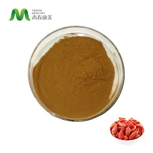 Natural Fruit Powder Organic Goji Berry Extract Powder For Health Supplement