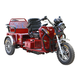 Triciclo de Gasolina con Velocidad Variable Continua, Motocicleta de Carga y Pasajeros para Ancianos, Vehículo de Transporte para Discapacitados - Product Image 6