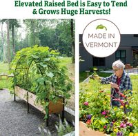 Lit de jardin surélevé en cèdre surélevé robuste plantes d'extérieur debout légumes fleurs patio arrière-cour jardinière en bois