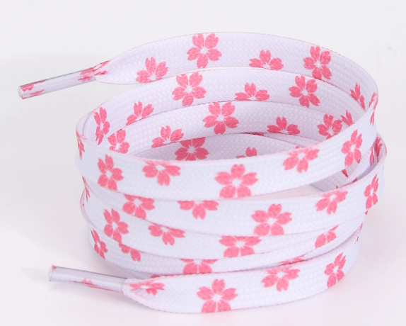 Pink cherry blossoms on white background