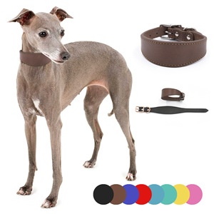 Collar de galgo de cuero cónico extra ancho de varios colores de alta calidad - Product Image 1