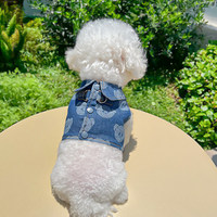 Pettorina in denim con stampa orso e guinzaglio, gilet con anello a D, grazioso completo da passeggio per animali domestici, vestiti per cuccioli di taglia piccola, gattini e gatti, per Bichon