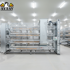 Nuevo Sistema de Jaulas para Pollos AYTAV Aycage 60x60, 15 Niveles, Recolección Automática de Huevos y Estiércol, 1 Año de Garantía, Panel de Control Metálico de Alta Calidad - Product Image 3