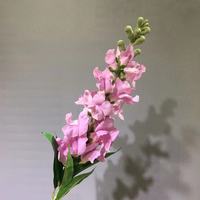 Susunan Bunga Pernikahan Snapdragon Buatan yang Realistis untuk Dekorasi Rumah dan Pernikahan