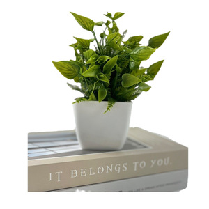 Plante artificielle Jinhe, mini plante en pot pour bureau, combinaison de fleurs et d'herbes ornementales, petite décoration intérieure 10cm-30cm PVC - Product Image 5