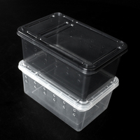 Habitat de reproduction rectangulaire pour serpents, nouveau modèle, haute qualité, durable et tendance