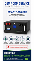 Baterai LiFePO4 Rakit Rak dengan BMS Pintar Terintegrasi 51.2V 200Ah 10.24kWh 6000 Siklus Hidup, WiFi Opsional untuk Kabinet Server
