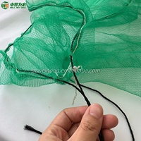 WEINONG Virgin HDPE Ademend Groen Mesh Dadelzakje 70x90cm 40g GSM voor het beschermen van dadels in de landbouw